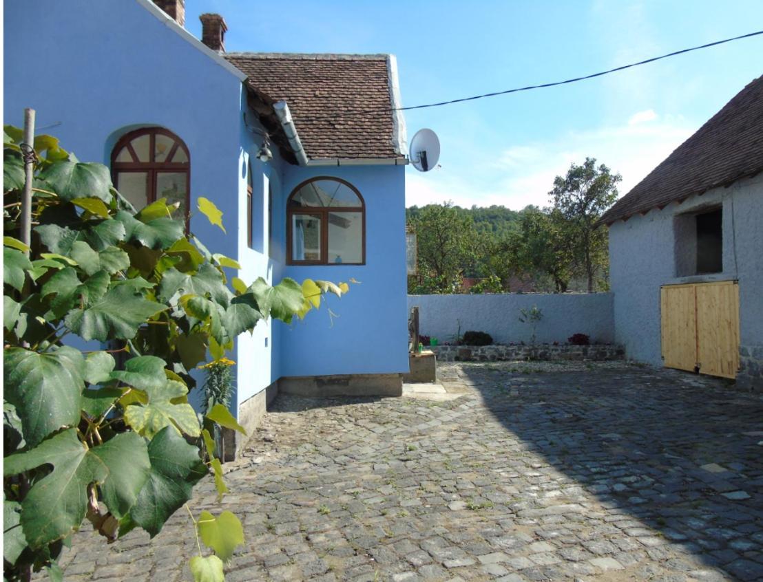 The Dream House Of Racos Villa Racosu de Jos Exterior photo